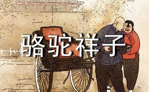 骆驼祥子摘抄