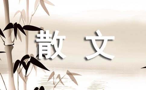 林清玄散文集摘抄赏析