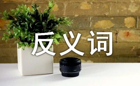 悲哀的反义词是什么