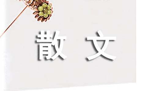 浅析汉语言文学中的散文赏析