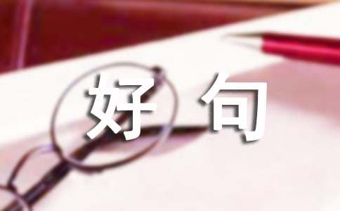 摘抄的好句子短一点