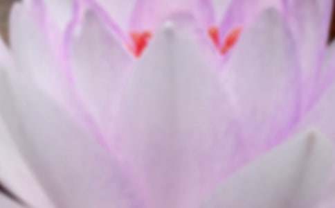 关于夏至节气的文案摘抄