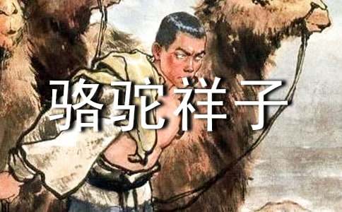骆驼祥子中的名句摘抄