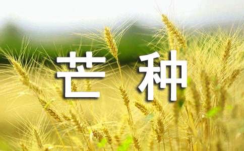 今日芒种句子优美摘抄