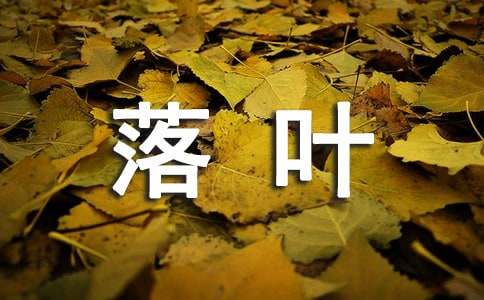 水龙吟·落叶阅读答案