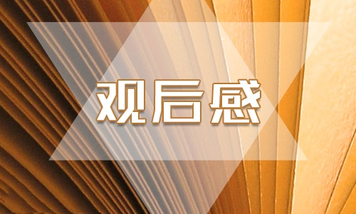 观看6.19“同学少年，未来向前”毕业云晚会个人感想精选4篇