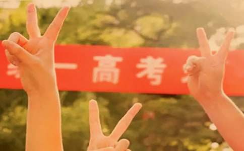 开窗看问题高考满分作文
