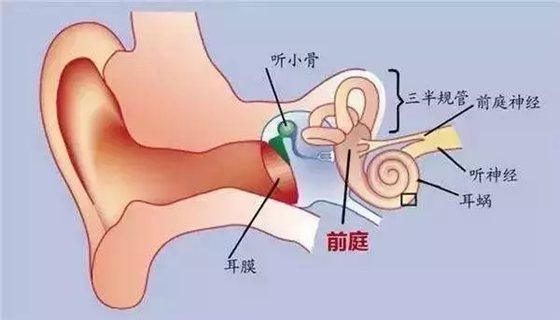为什么晕车的人开车不晕车,开车不晕车坐车会晕车的原因是什么