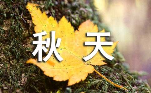 秋天个性诗歌（通用60句）