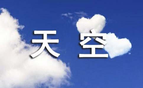 《天空飞过一条鱼》读后感