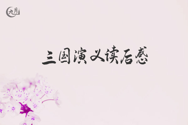 三国演义读后感作文