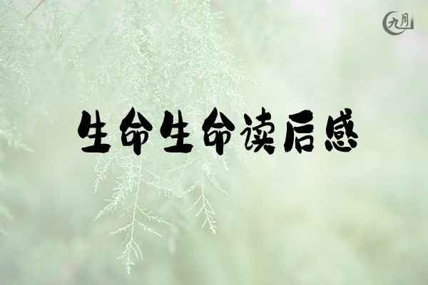 生命生命读后感
