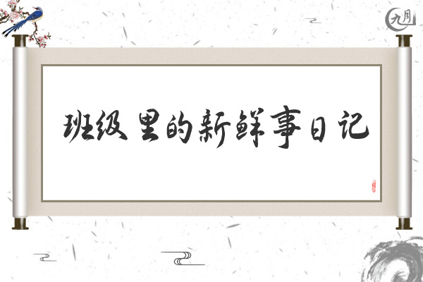 班级里的新鲜事日记