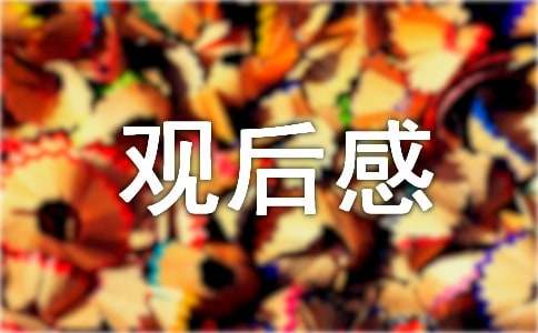 人间世纪录片观后感范文