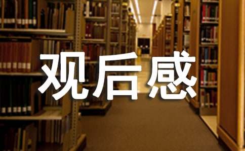 《驯龙记2》观后感500字
