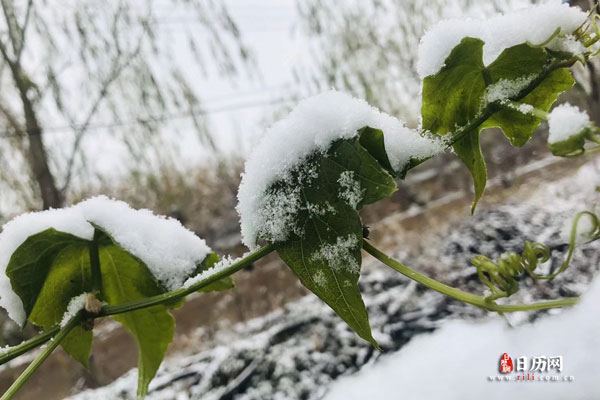 大雪是几月几日