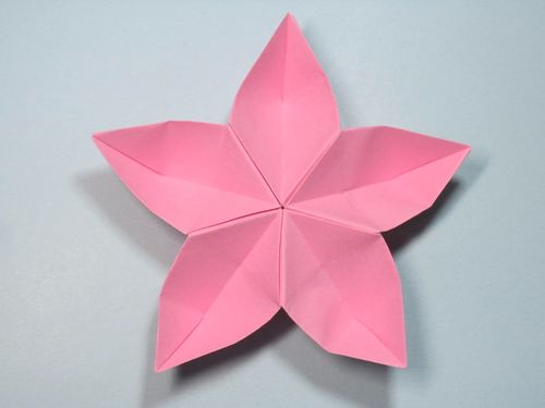 手工折纸花五星花的折法详细图解