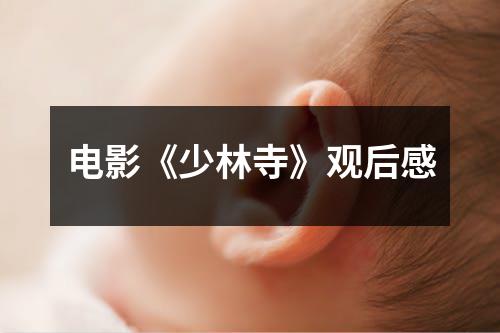 电影《少林寺》观后感