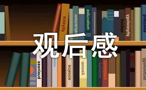 水浒传观后感作文