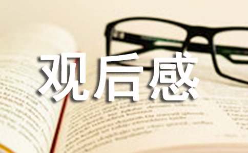 人在囧途观后感内容