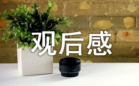 铁道飞虎观后感