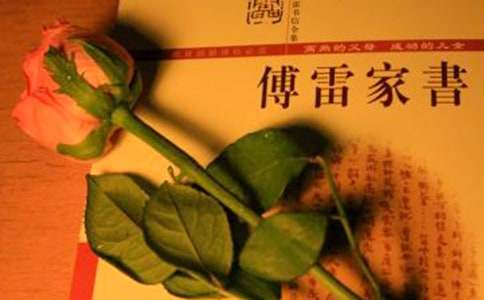 初一傅雷家书专题的读后感