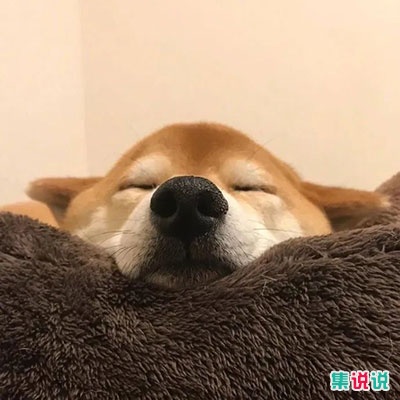 专治对方已读不回的阴阳句子