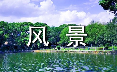 路过的风景作文