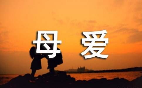 母爱作文500字左右