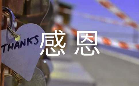 关于感恩的作文（精选30篇）